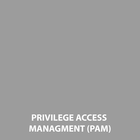 PRIVILEGE-ACCESS-MANAGMENT-(PAM)